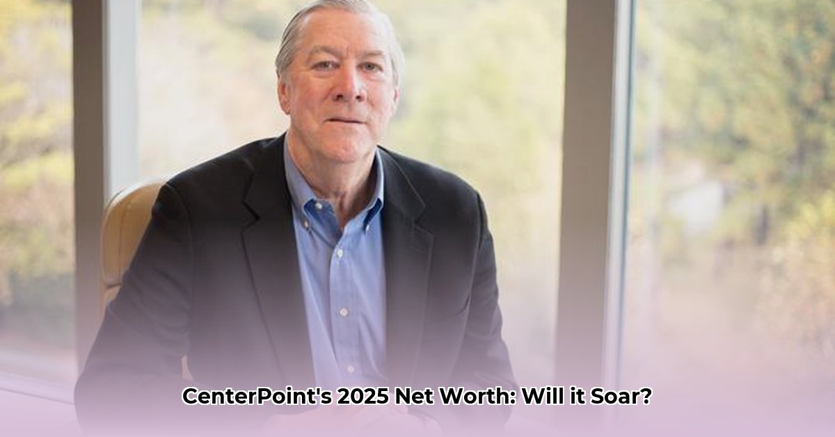 centerpoint-net-worth